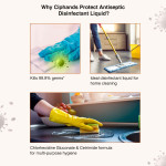 Ciphands Antiseptic Liquid - 250ml