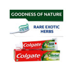 Colgate Toothpaste - Herbal - 100 G - Natural