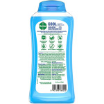 Dettol Body Wash And Shower Gel, Cool - 250ml