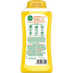 Dettol Body Wash And Shower Gel, Refresh - 250ml