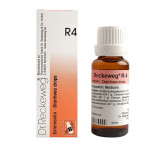 Dr Reckeweg R 4 Diarrhoea Drops 22 Ml