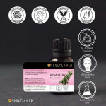 Soulflower Rosemary Essential Oil, 15ml