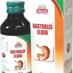 Wheezal Gastrolex Elixir 120 Ml